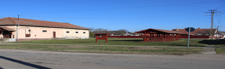 Piacfejlesztés (2025)